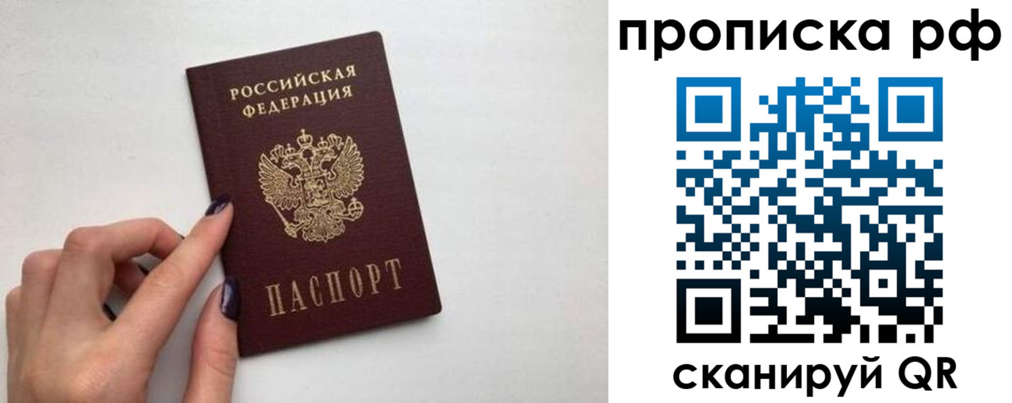 временная регистрация поиск в Зеленоградске
